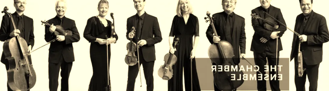 Academy Of St. Martin In The Fields