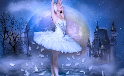 Swan Lake