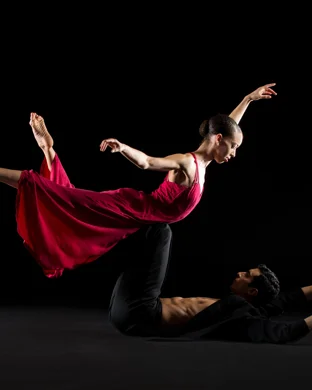 Burn the Floor: Maks & Peta Live theatre performance